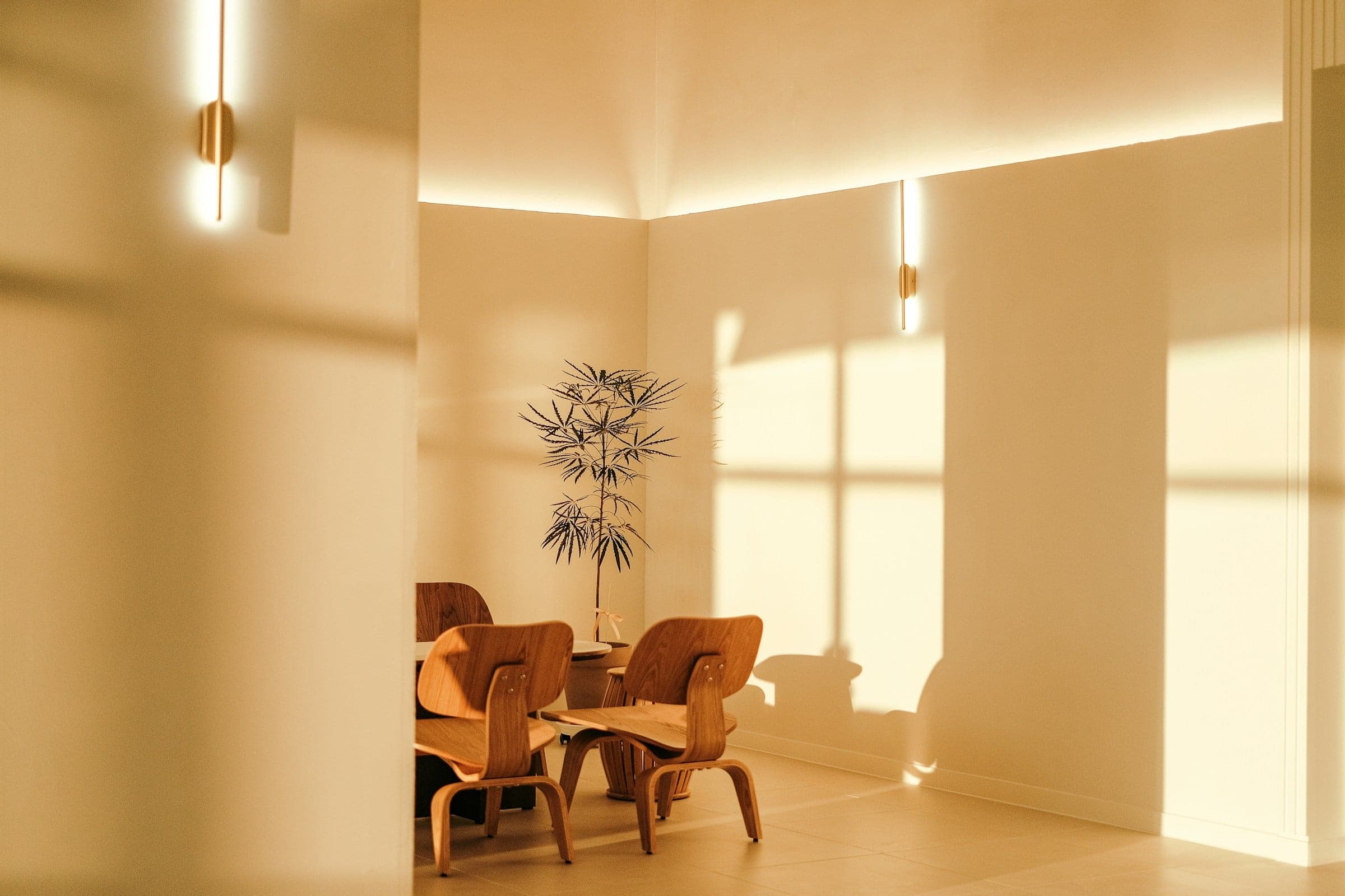Sunlit plaster walls with concealed linear lighting in a warm, minimal dining space